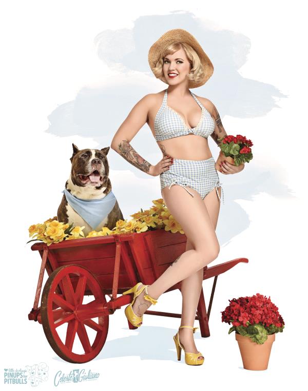 /Images/uploads/Pinups for Pitbulls/greatestpits/entries/13099thumb.jpg